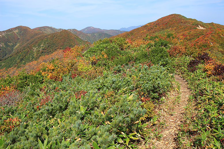 障子ヶ岳