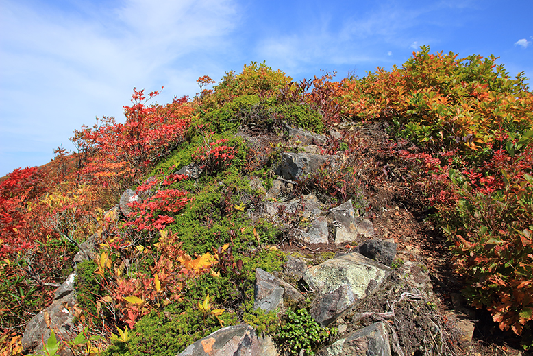 障子ヶ岳