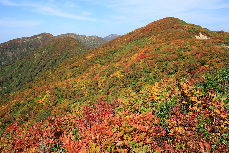 障子ヶ岳