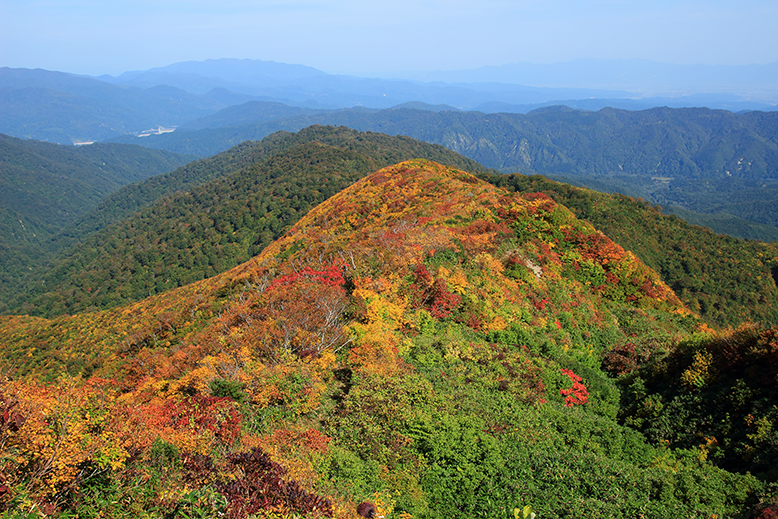 障子ヶ岳