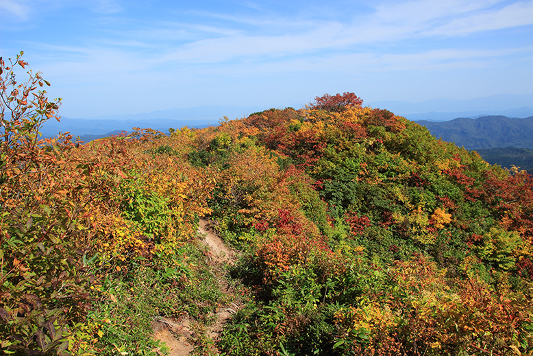 障子ヶ岳