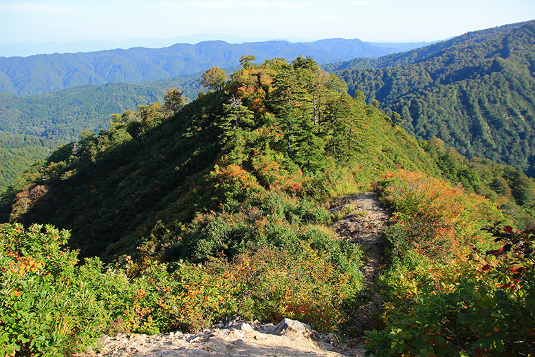 障子ヶ岳