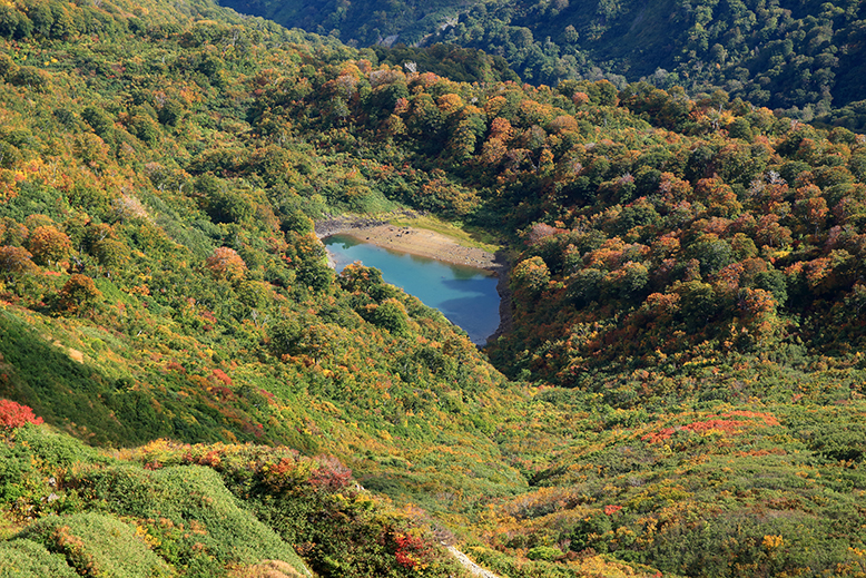 東補陀落