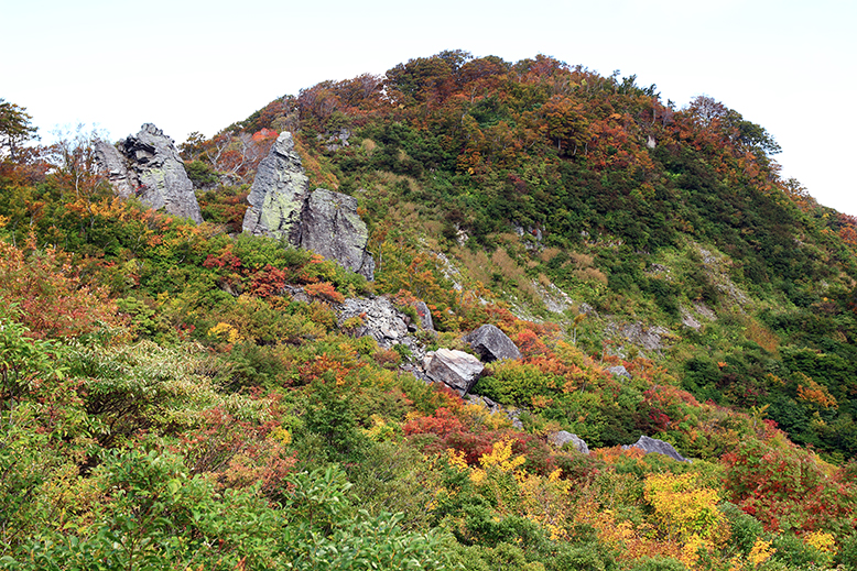 東補陀落
