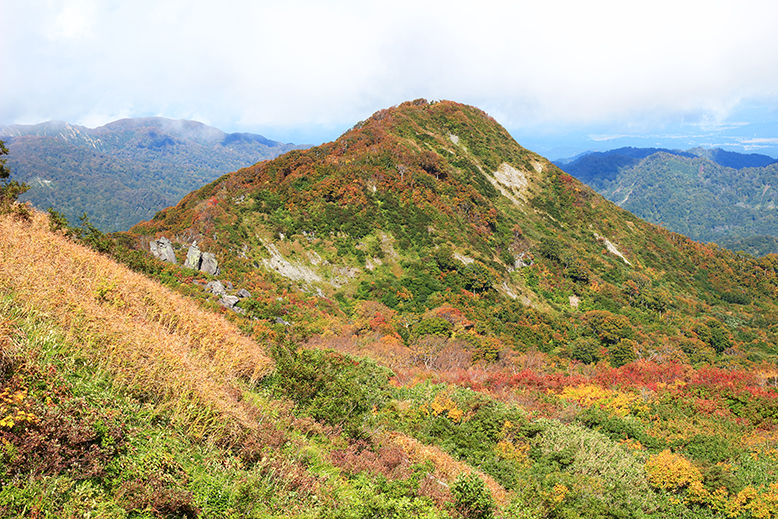 東補陀落