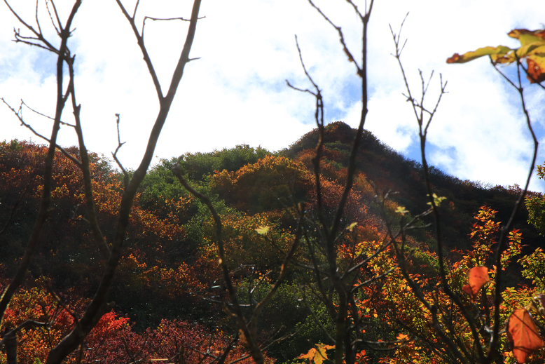 東補陀落