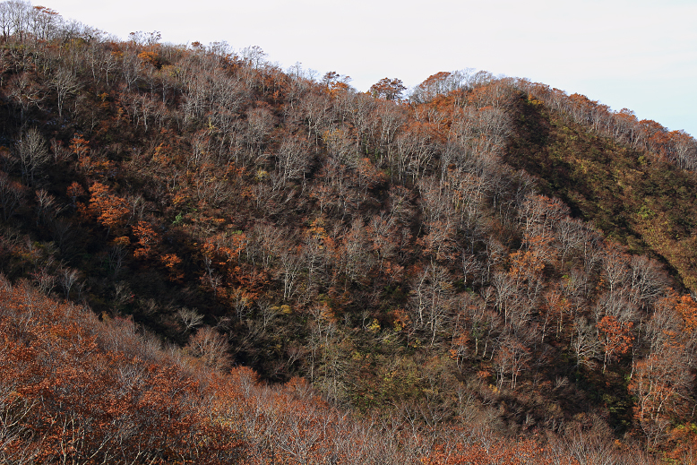 白髪山