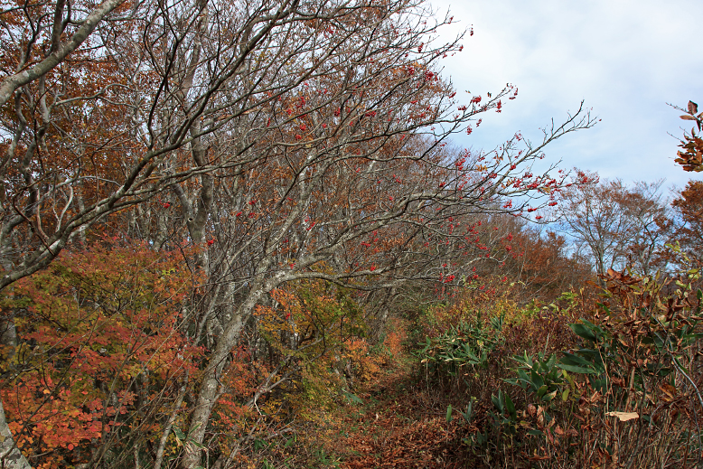 白髪山