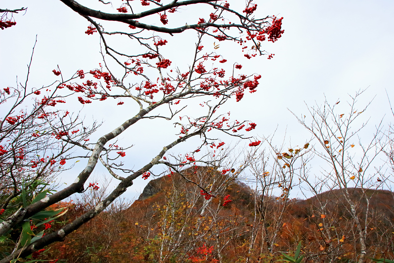 白髪山