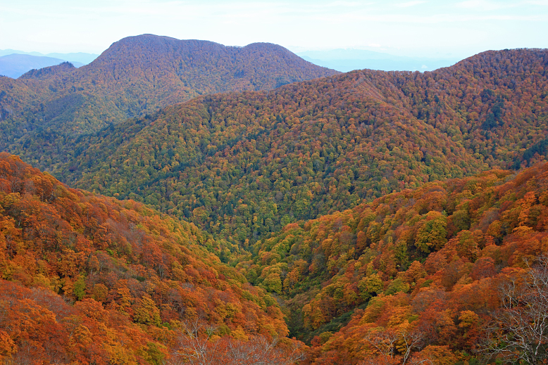 白髪山