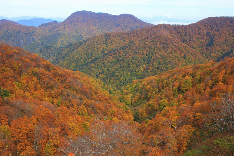 白髪山