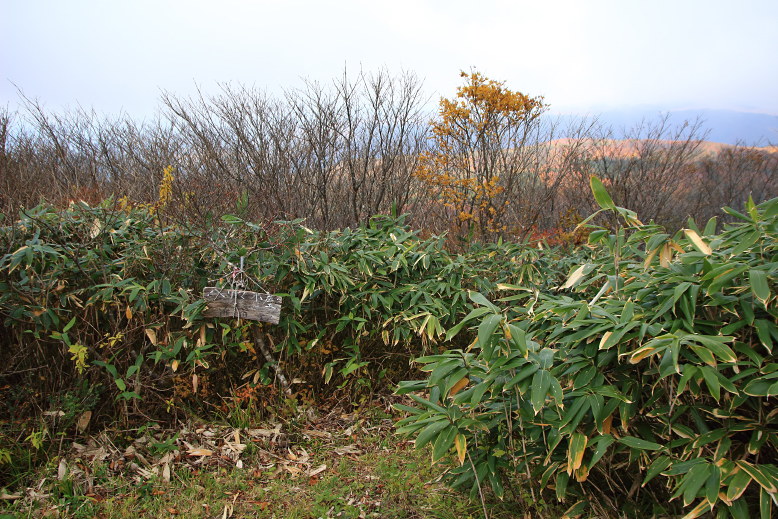 翁山