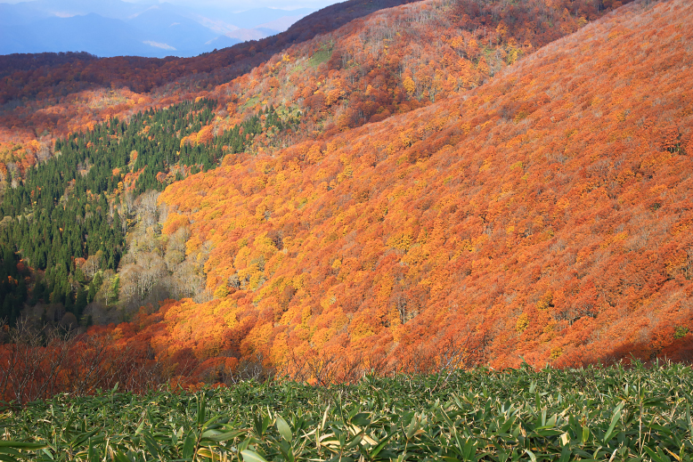 翁山