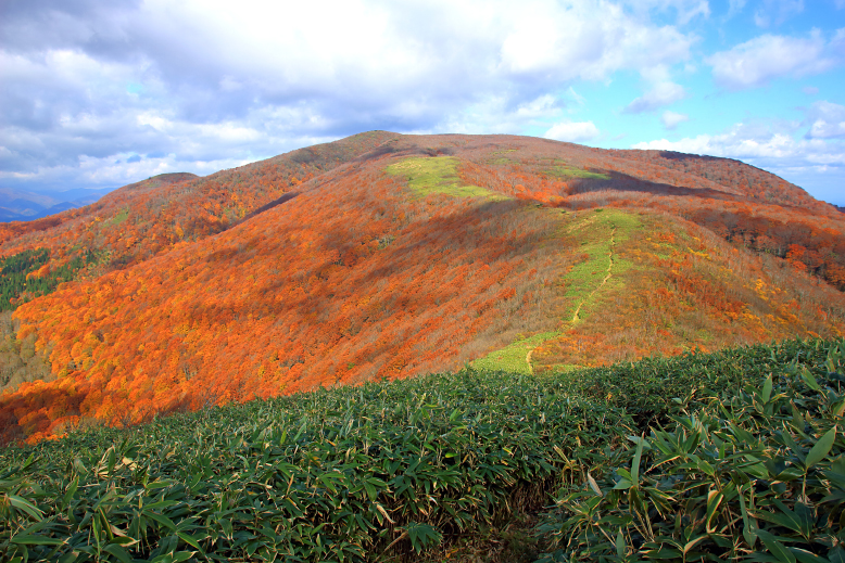 翁山
