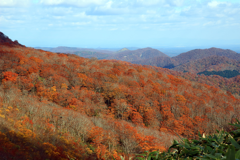 翁山