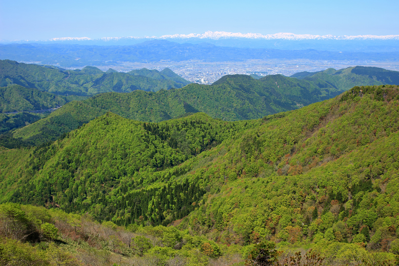 山形神室岳