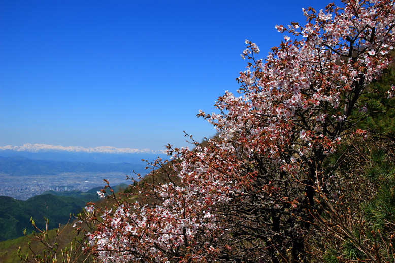 山形神室岳