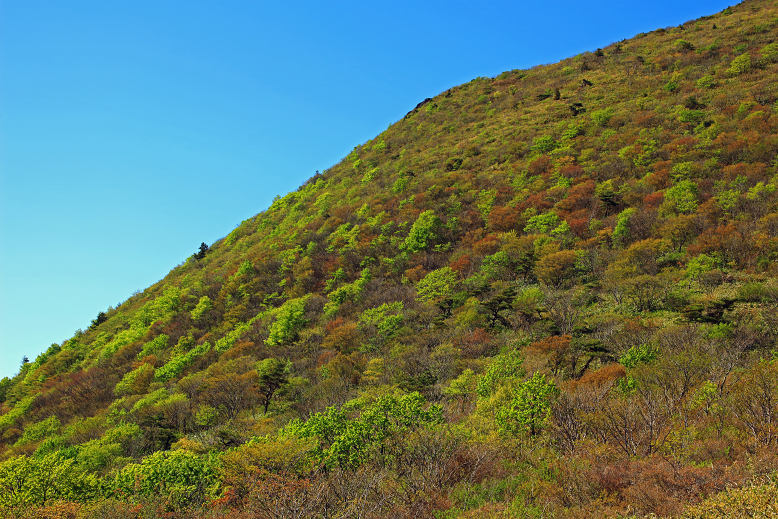 山形神室岳