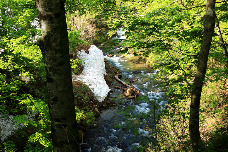 葉山