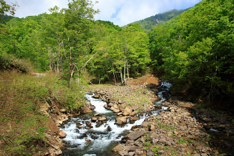 葉山