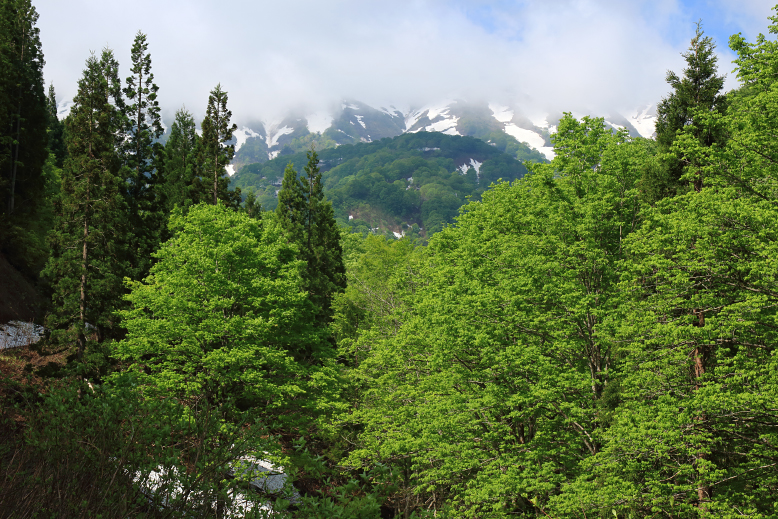 葉山