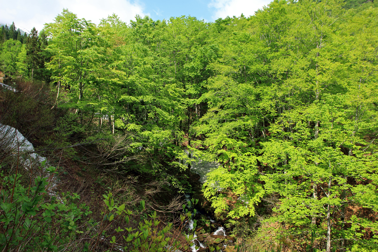葉山