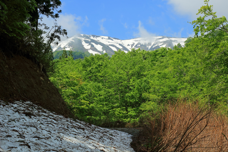 葉山