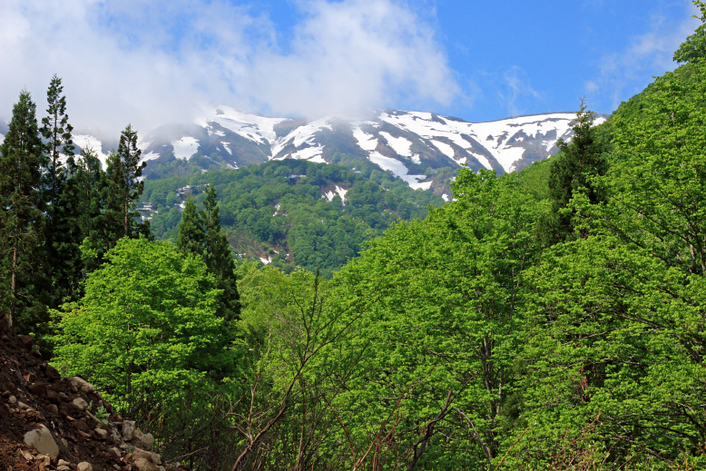 葉山