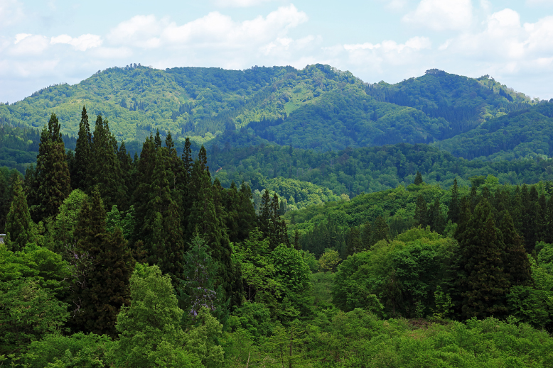 葉山