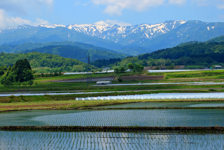 葉山