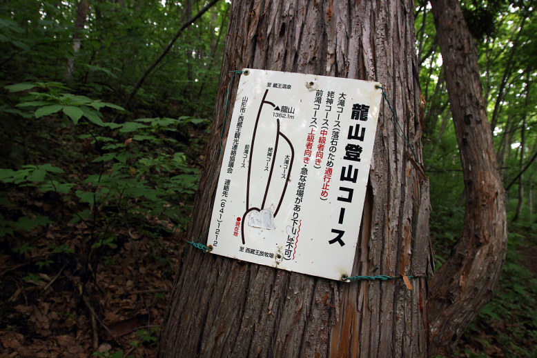 瀧山