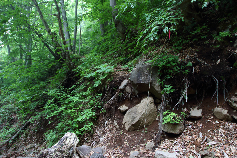 瀧山