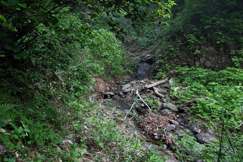 瀧山