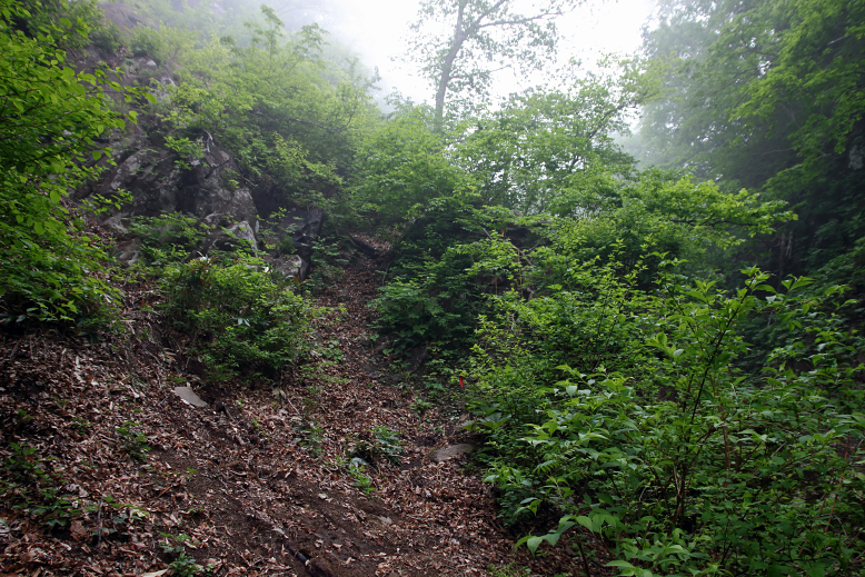 瀧山