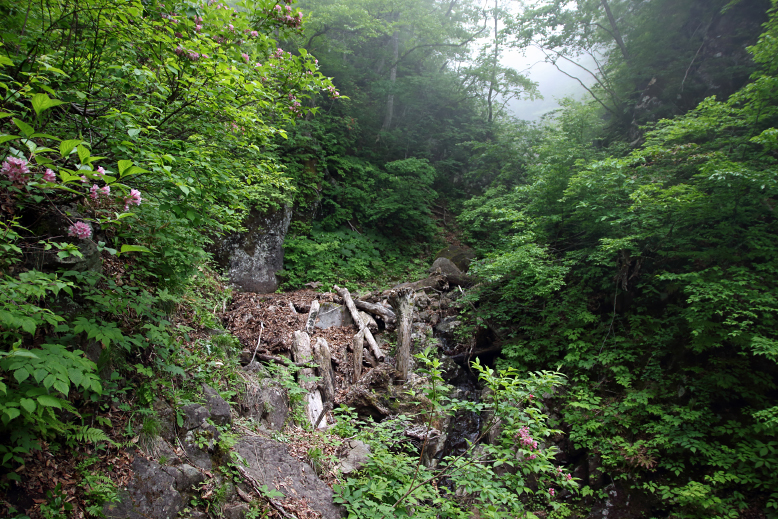 瀧山