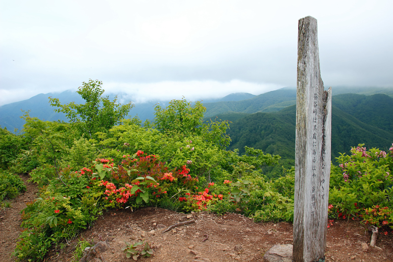 瀧山