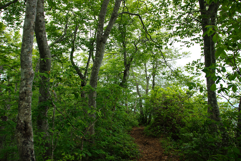 瀧山