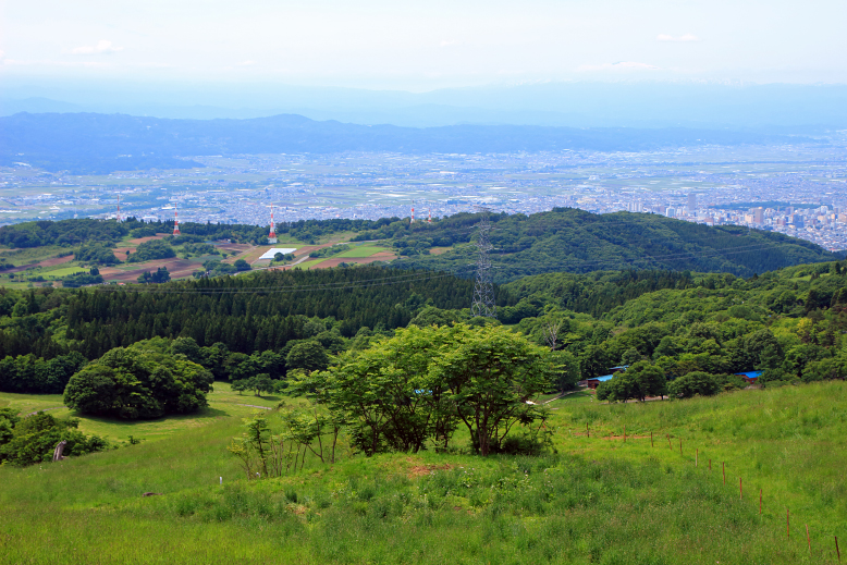 瀧山