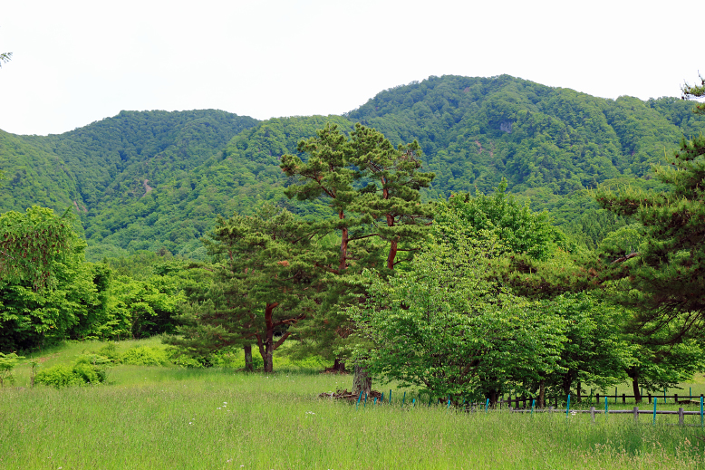 瀧山