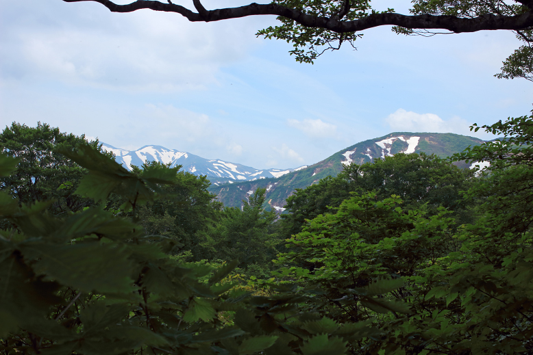 粟畑