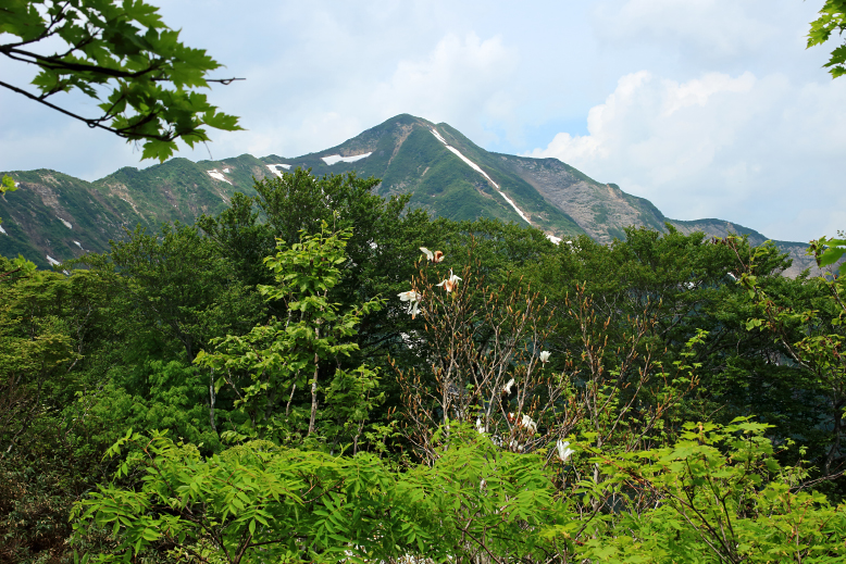 粟畑