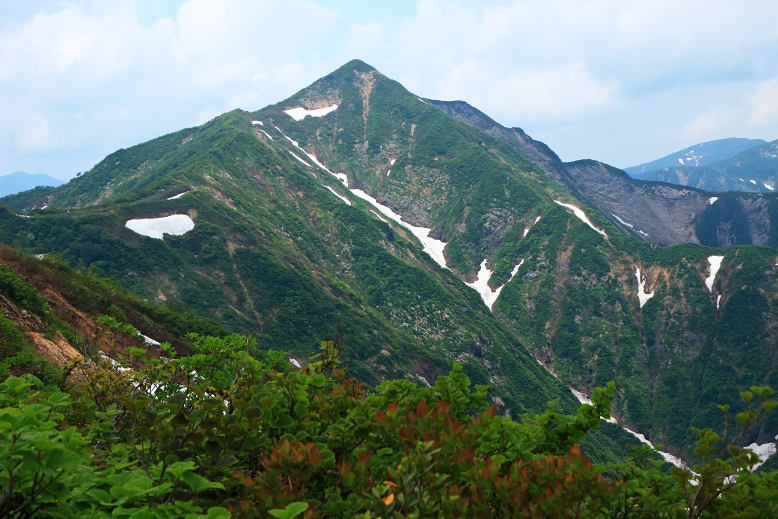 粟畑