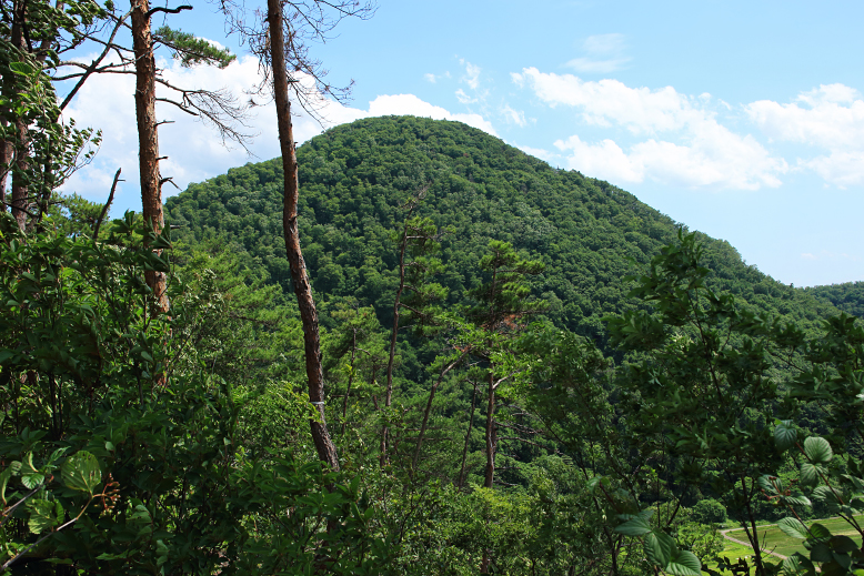 大岡山