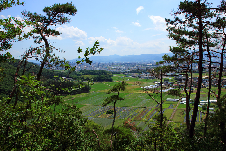 大岡山