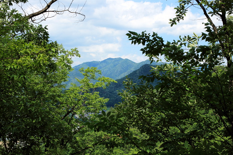 大岡山