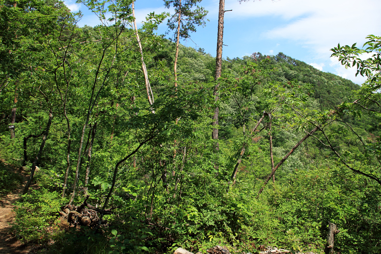大岡山