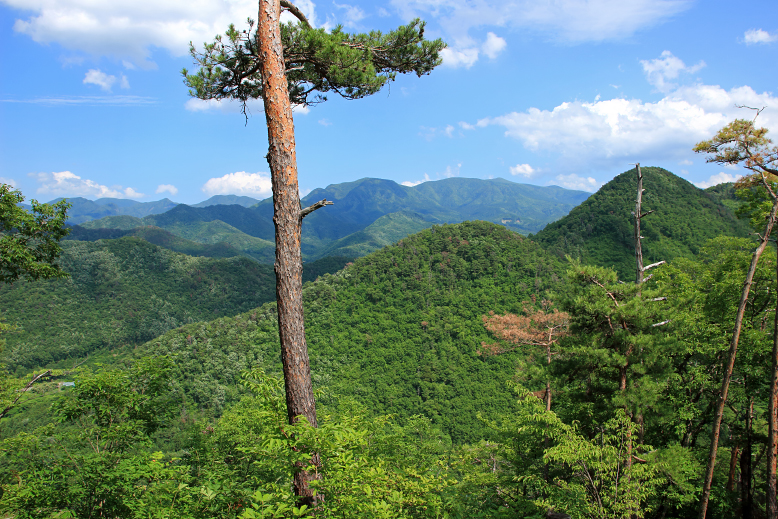 大岡山