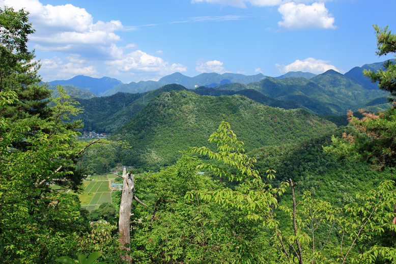大岡山