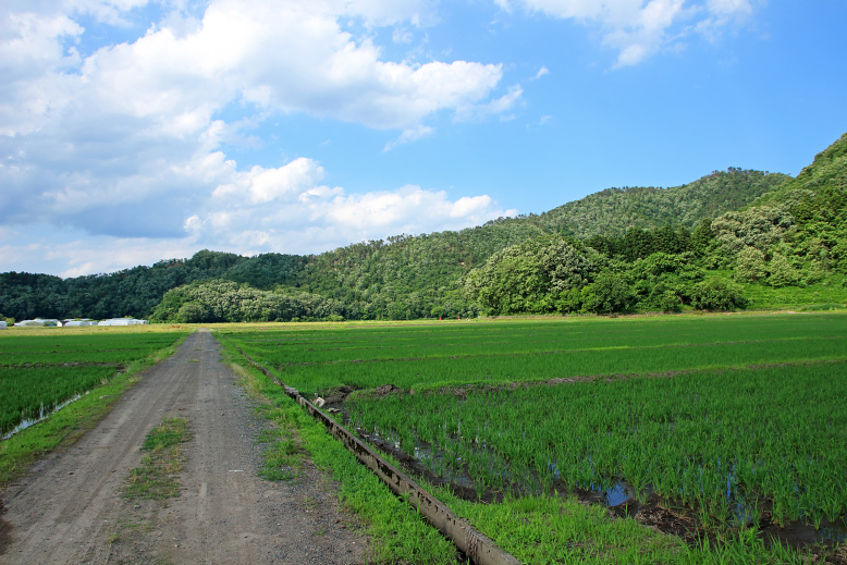 大岡山