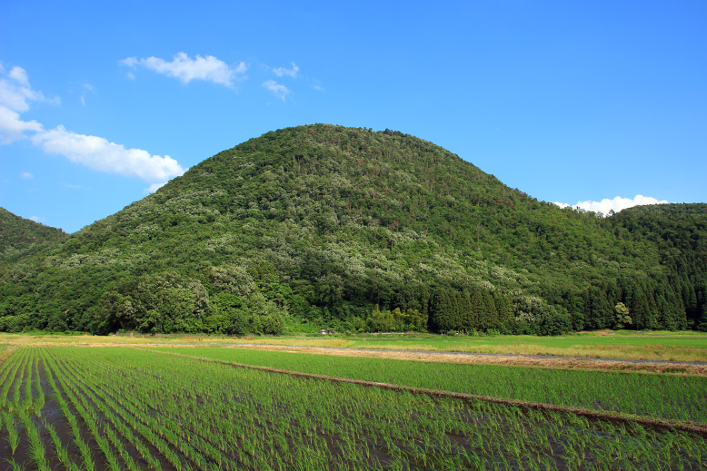 大岡山